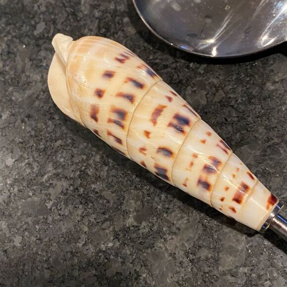 Shell Handle Serving Set Marlin Spike Auger Seashell - Picture 4 of 10